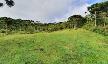 Imagem 7: Sitio em Urubici