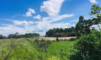 Imagem: Fazenda em Pantanal Nhecolandia - Leilão