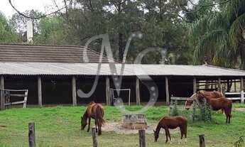 Imagem 6: Área rural para venda 20 alq. paulista com 5 quartos interior SP