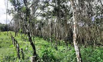 Imagem 6: LOTES ENTRE MULUNGU E GUARAMIRANGA