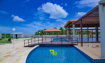 Imagem: PORTAL DAS FLECHEIRAS