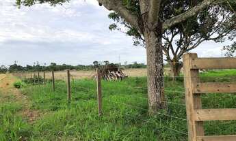 Imagem 3: COLÔNIA NO RAMAL DA ZEZÉ/SÃO JOÃO