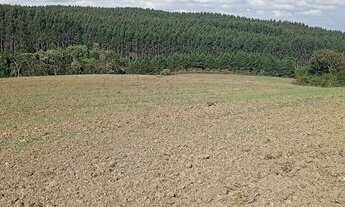 Imagem 6: Fazenda de 63ha, ótima para plantio, com várias nascentes em Otacílio Costa