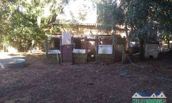 Imagem 6: Lindo sítio 3200 m² com casa, galpão campeiro e piscina em Águas claras