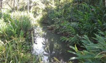 Imagem 6: Fazenda sem sede de 82ha,nascente e córrego nos fundos,Jaboticatubas(Temos varias opções)