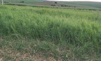 Imagem 3: Chácara de 3.000 metros