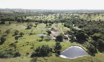 Imagem: 69 alqueires beira rio em Goias velho-Go