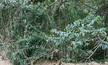 Imagem 6: Venda de terreno em Mairiporã (750 m2