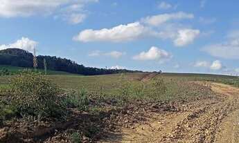Imagem 3: Fazenda de 63ha, ótima para plantio, com várias nascentes em Otacílio Costa