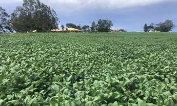 Imagem 5: Fazenda de 627 alq ou 3036 ha em Serranópolis-Go