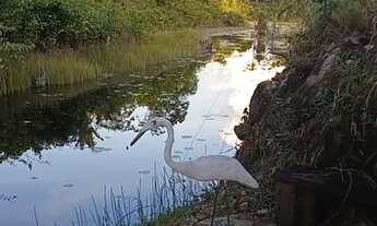 Imagem: Sitio rural 300x500m