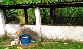 Imagem 3: Rio Friburgo - Guapimirim Km 14