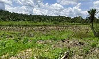 Imagem 4: Sítio com lagoa em Caratinga