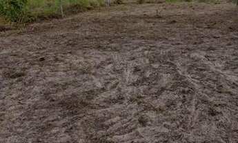 Imagem: Vendo esse terreno em Jacumã valor $ 30