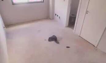 Imagem 7: SOBRADO EM CONDOMÍNIO com 3 dormitórios à venda com 107m² por R$ 639.000,00 no bairro Uber