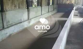 Imagem 6: Chácara / Sítio à venda, São Pedro - Guabiruba/SC