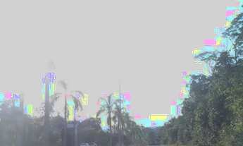 Imagem 6: Villa Suíça Lote/Terreno para venda tem 250 metros quadrados em Tarumã - Manaus - AM