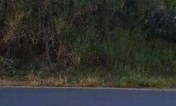 Imagem 3: Chacara meio da natureza