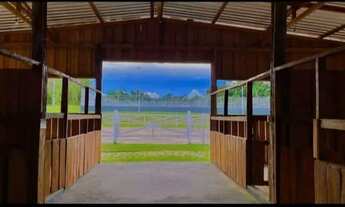 Imagem 6: Lote/Terreno para venda tem 999 metros quadrados em chácaras Rio Negro - Iranduba - Amazo