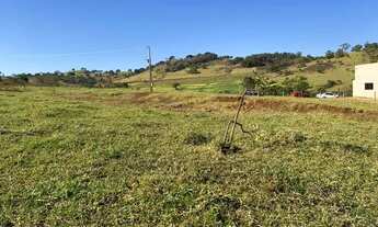Imagem 3: Excelente fazenda à venda - 3 alqueires