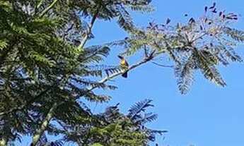 Imagem 7: Vaga de quarto para meninas no Córrego Grande