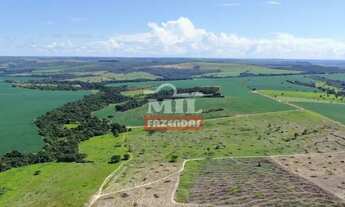 Imagem 2: Fazenda de 41 alqueires (200 hectares) em Abadiânia-GO