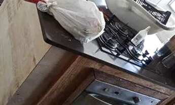 Imagem 7: SãO PAULO - Padrão - Horto do Ype