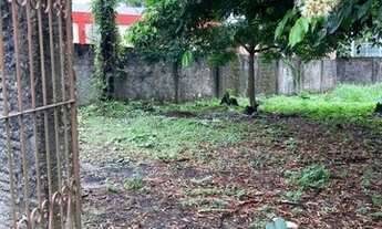 Imagem 5: Terreno excelente localização PARQUE 10 DE NOVEMBRO