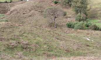 Imagem 3: Linda chácara na serra da mantiqueira no sul de MG