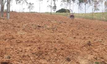 Imagem 6: Sitio em Lagoinha-SP,no Bairro Barro Branco