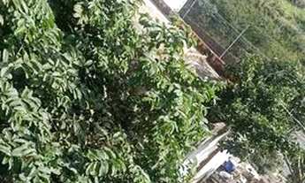 Imagem 3: Casa bairro mãe de deus