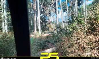 Imagem 6: Fazenda à Venda, 4.095 Alqueires Por R$ 240.000.000 - Ouro - Barra do Ouro/to