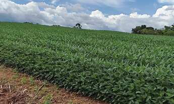 Imagem: Fazenda em Pedro Afonso/Santa Maria