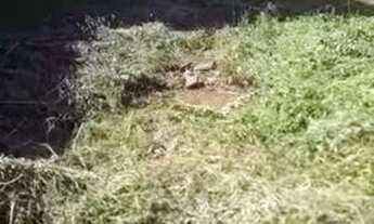 Imagem: Oportunidade Única! Terreno à Venda em