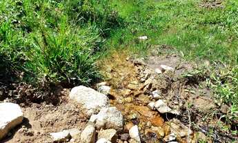 Imagem 3: ANITÁPOLIS/SC - Lindo terreno com cachoeira 5 hectares