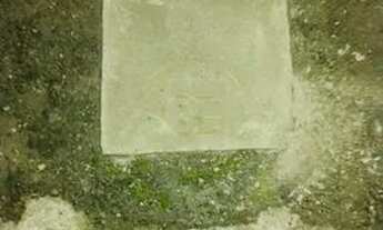 Imagem 4: Casa semi mobiliada com piscina para locação em Dom Bosco - Itajaí, SC