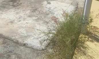 Imagem 4: Casa para venda tem 168 metros quadrados com 2 quartos