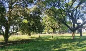 Imagem 2: Velleda oferece bonito sítio, 12 hectares, na Águas Claras