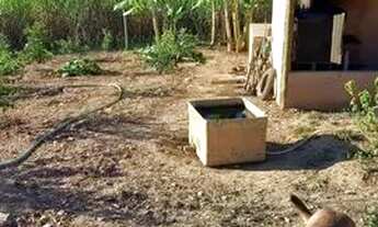 Imagem 4: Vende-se sítio Chácara com venda por R$300.000