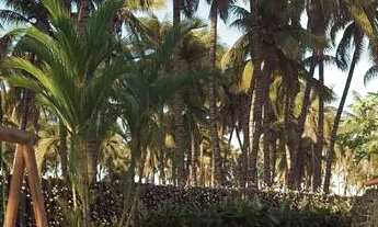 Imagem 7: Villa Carneiros Costa Mar | 01, 02 e 03 quartos com estrutura de resort