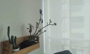 Imagem 6: Apartamento para Locação em São Paulo, Cambuci, 3 dormitórios, 1 suíte, 2 banheiros, 1 vag