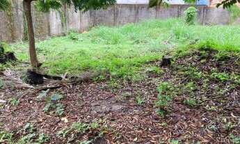 Imagem 7: Terreno excelente localização PARQUE 10 DE NOVEMBRO