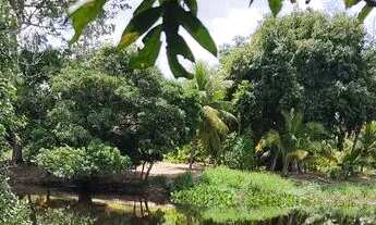 Imagem 7: Terreno à Venda - 800,00 + Parcelas de a partir de 160,00, Acesso ao Rio - 1.000m2