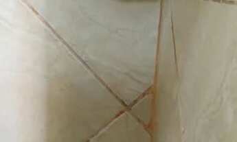 Imagem 4: Otimo apartamento, 1º andar, 2/4, boa localização