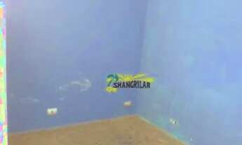 Imagem 3: Kitnet com 1 dormitório para alugar, 30 m² por R$ 639,34/mês - Serraria - Diadema/SP