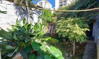 Imagem 2: São Paulo - Terreno Padrão - Vila Formosa