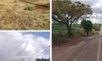 Imagem: São Paulo Lote/Terreno 526 metros na cidade