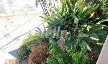 Imagem 3: São Paulo - Terreno Padrão - Vila Formosa