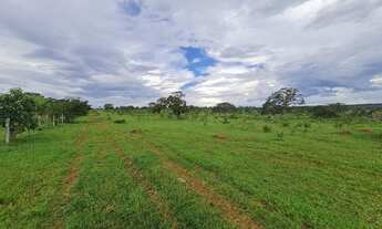 Imagem: Fazenda a venda com 82 alqueires em Alexânia