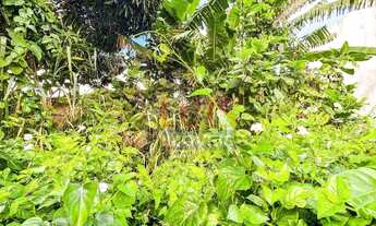 Imagem 3: Terreno com Ótima Localização à venda, 360 m² por R$ 600.000 - Piratininga - Niterói/RJ- T